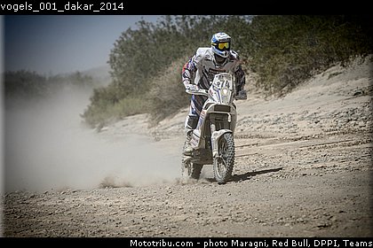 vogels_001_dakar_2014.jpg