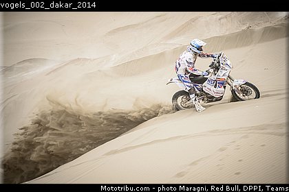 vogels_002_dakar_2014.jpg
