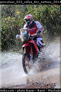 goncalves_022_rallye_dos_sertoes_2014.jpg