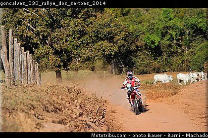 goncalves_030_rallye_dos_sertoes_2014.jpg