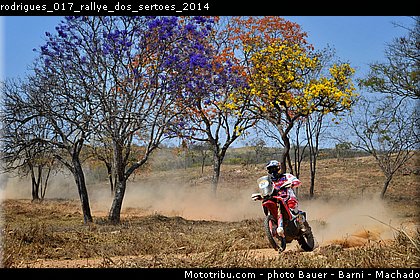 rodrigues_017_rallye_dos_sertoes_2014.jpg