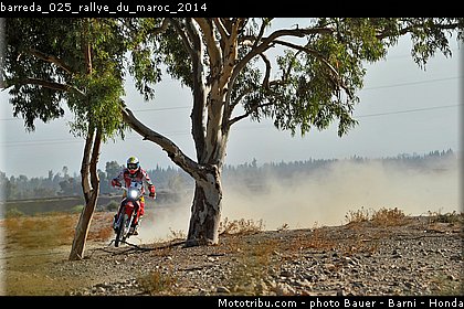 barreda_025_rallye_du_maroc_2014.jpg