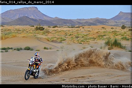 faria_014_rallye_du_maroc_2014.jpg