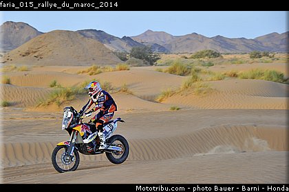 faria_015_rallye_du_maroc_2014.jpg