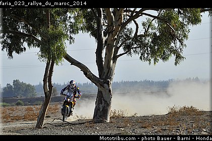 faria_023_rallye_du_maroc_2014.jpg