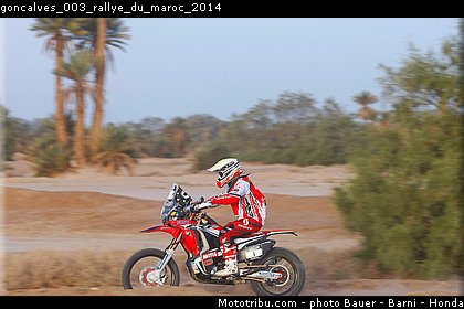 goncalves_003_rallye_du_maroc_2014.jpg
