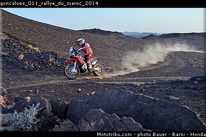 goncalves_011_rallye_du_maroc_2014.jpg
