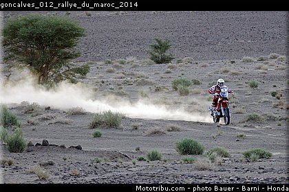 goncalves_012_rallye_du_maroc_2014.jpg