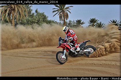 goncalves_014_rallye_du_maroc_2014.jpg