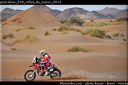 goncalves_018_rallye_du_maroc_2014.jpg