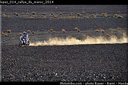 lopez_014_rallye_du_maroc_2014.jpg