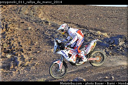 przygonski_011_rallye_du_maroc_2014.jpg