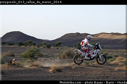 przygonski_013_rallye_du_maroc_2014.jpg