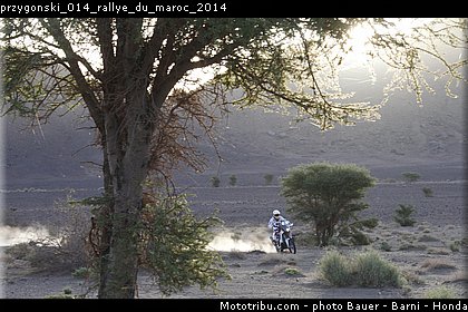 przygonski_014_rallye_du_maroc_2014.jpg