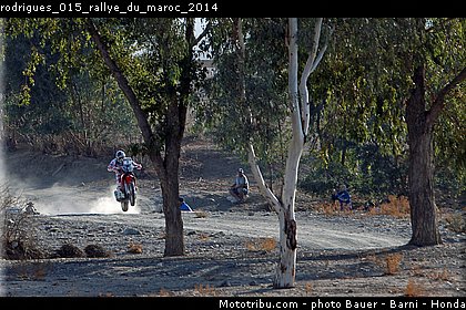 rodrigues_015_rallye_du_maroc_2014.jpg