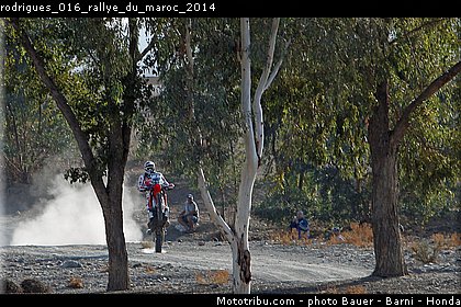 rodrigues_016_rallye_du_maroc_2014.jpg