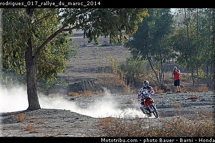 rodrigues_017_rallye_du_maroc_2014.jpg