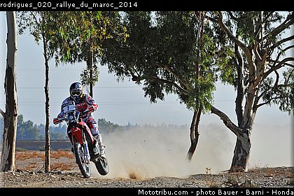 rodrigues_020_rallye_du_maroc_2014.jpg