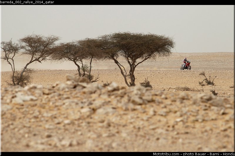 barreda_002_rallye_2014_qatar