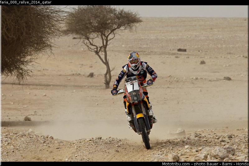 faria_008_rallye_2014_qatar