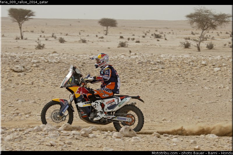faria_009_rallye_2014_qatar
