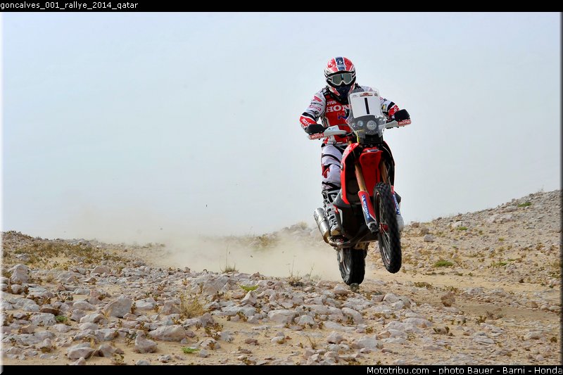 goncalves_001_rallye_2014_qatar