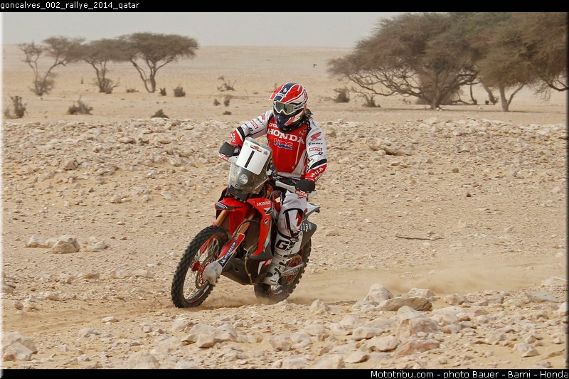 goncalves_002_rallye_2014_qatar