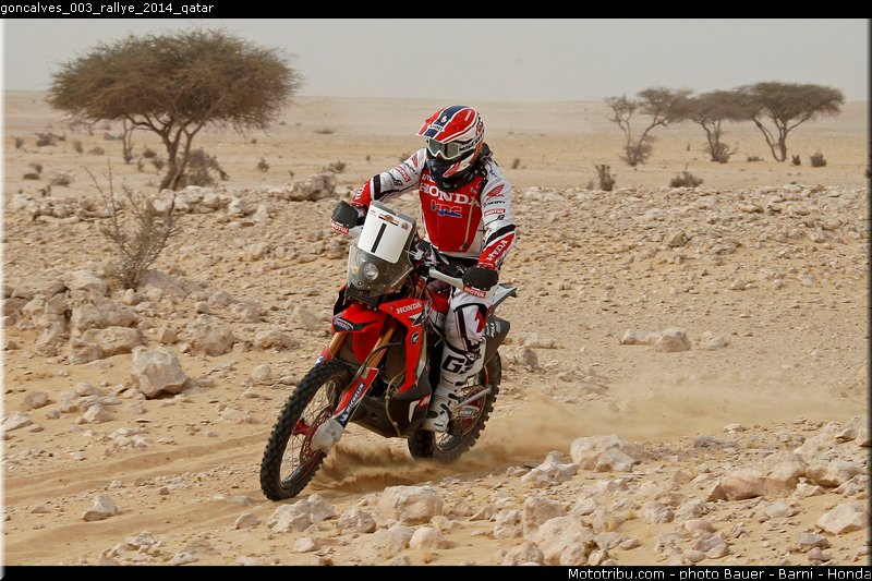 goncalves_003_rallye_2014_qatar