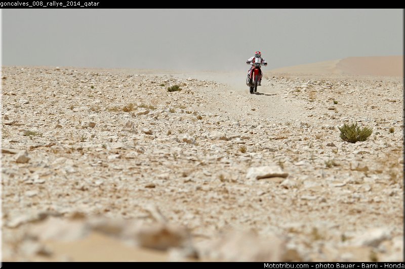 goncalves_008_rallye_2014_qatar