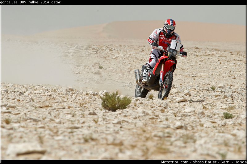 goncalves_009_rallye_2014_qatar