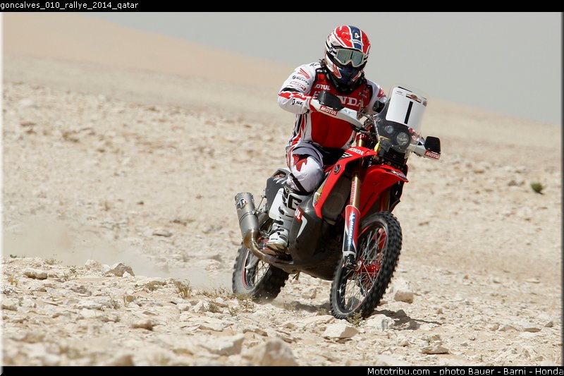 goncalves_010_rallye_2014_qatar