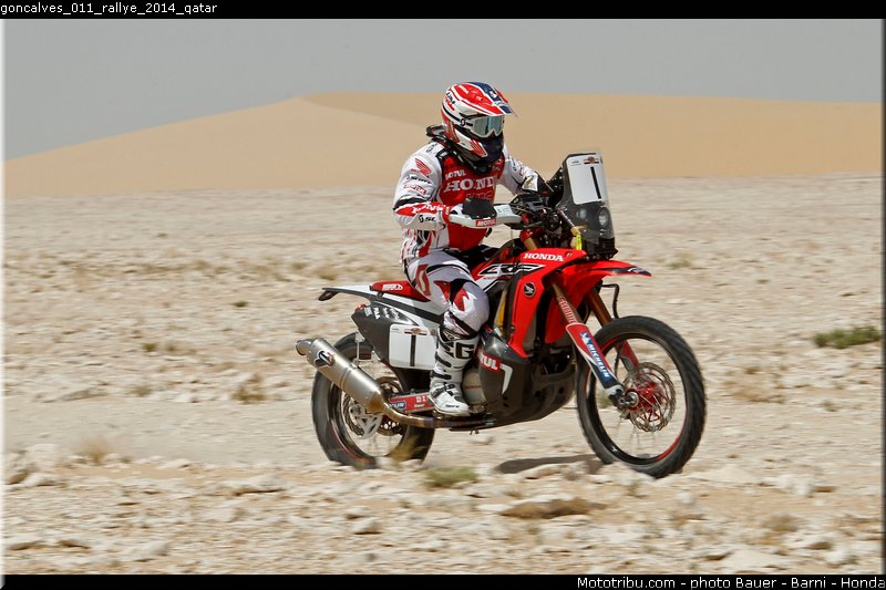 goncalves_011_rallye_2014_qatar