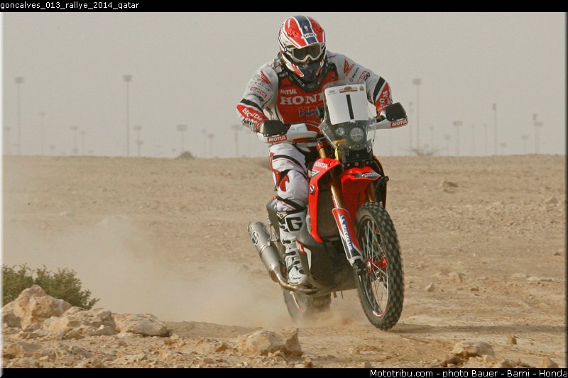 goncalves_013_rallye_2014_qatar