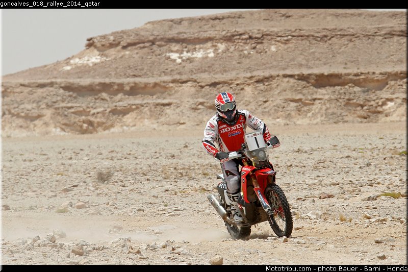 goncalves_018_rallye_2014_qatar