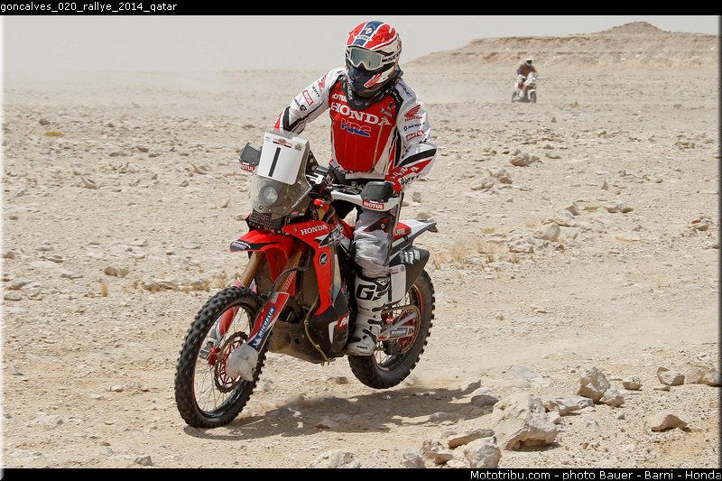 goncalves_020_rallye_2014_qatar