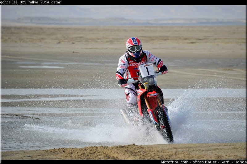 goncalves_023_rallye_2014_qatar