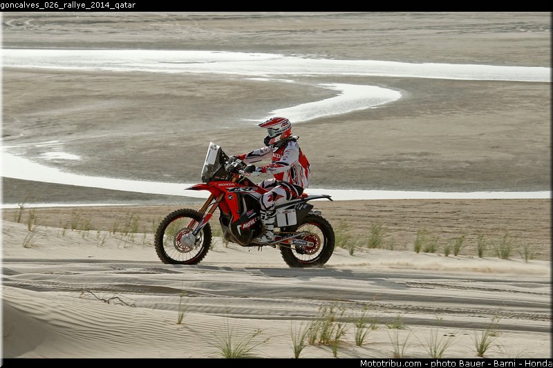 goncalves_026_rallye_2014_qatar