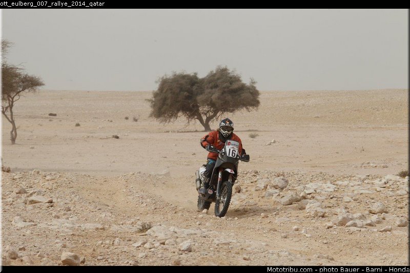 ott_eulberg_007_rallye_2014_qatar