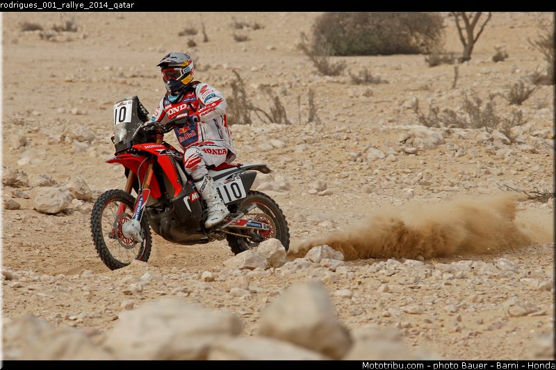 rodrigues_001_rallye_2014_qatar
