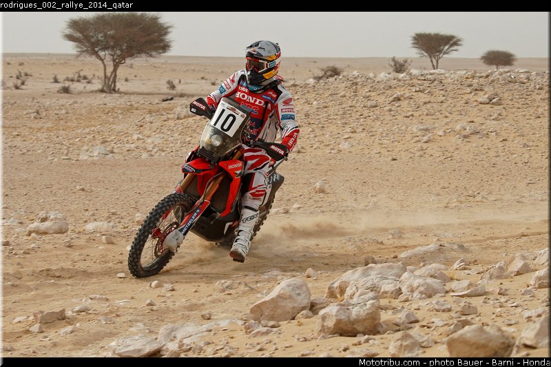 rodrigues_002_rallye_2014_qatar