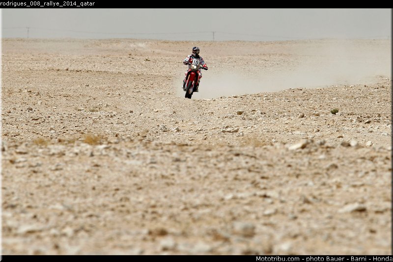 rodrigues_008_rallye_2014_qatar