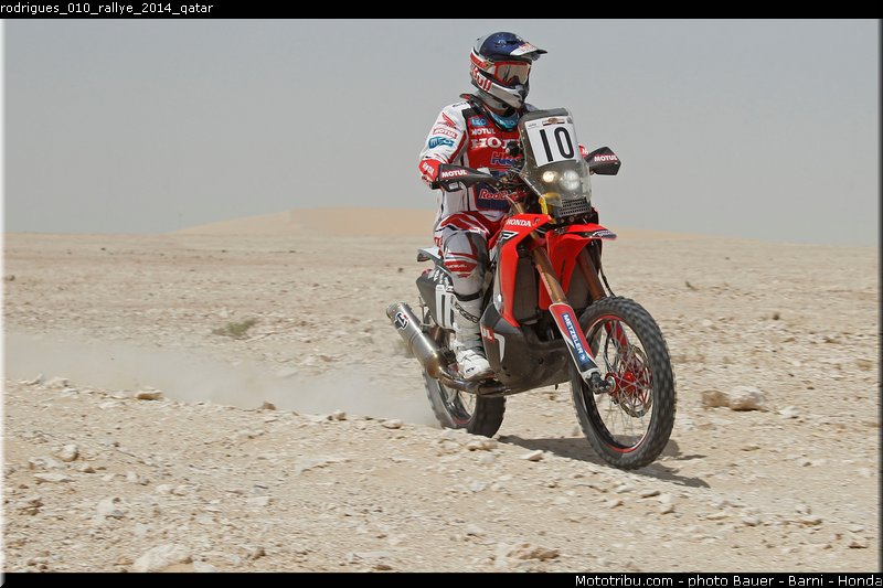 rodrigues_010_rallye_2014_qatar