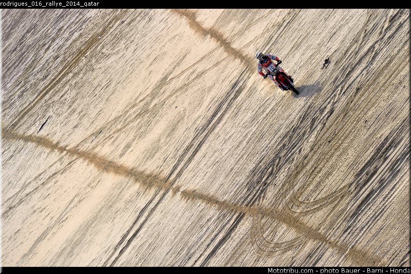 rodrigues_016_rallye_2014_qatar