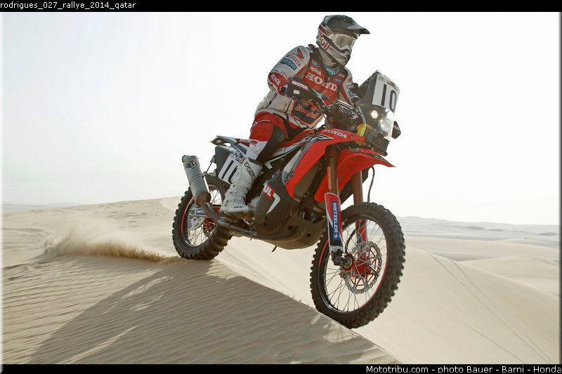 rodrigues_027_rallye_2014_qatar