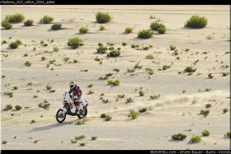 viladoms_013_rallye_2014_qatar