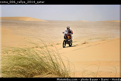 coma_006_rallye_2014_qatar.jpg