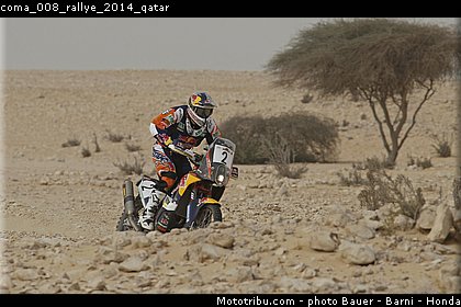 coma_008_rallye_2014_qatar.jpg