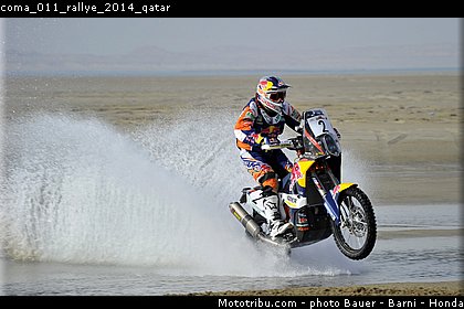 coma_011_rallye_2014_qatar.jpg