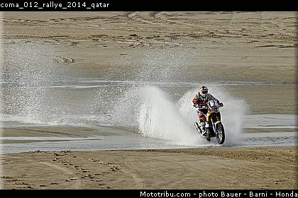 coma_012_rallye_2014_qatar.jpg