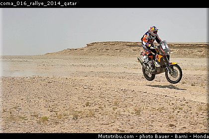 coma_016_rallye_2014_qatar.jpg